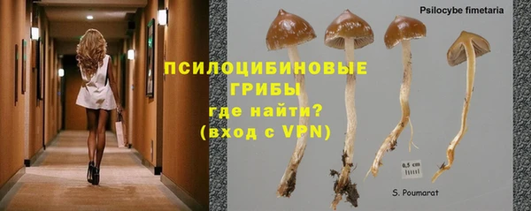 амфетамин Каменногорск