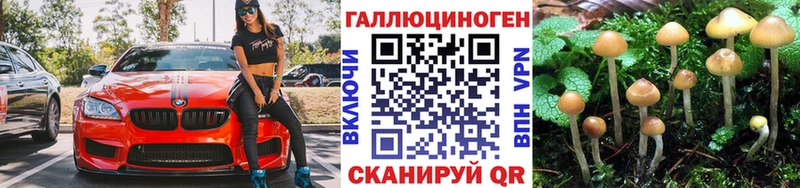 Галлюциногенные грибы GOLDEN TEACHER  Купить  Вилючинск 